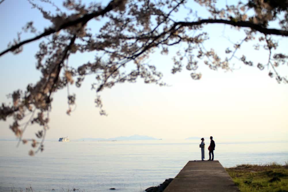 A man and woman are seen on a deck in the distance, with a body of water and ship in the background, and a blurred tree in the foreground.