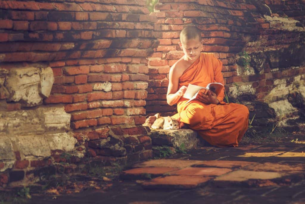 Buddhism Practices - Boy Monk Reading