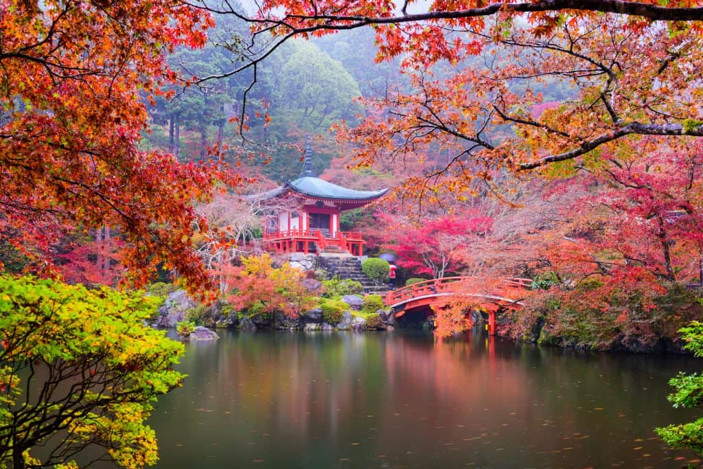 Autumn in Japan with the changing of color of leaves. In the foreground, there are tree branches with green, orange, and red leaves over a pond. In the background, there is a small red temple like structure with a red bridge leading to it. There are more green trees behind the shrine.