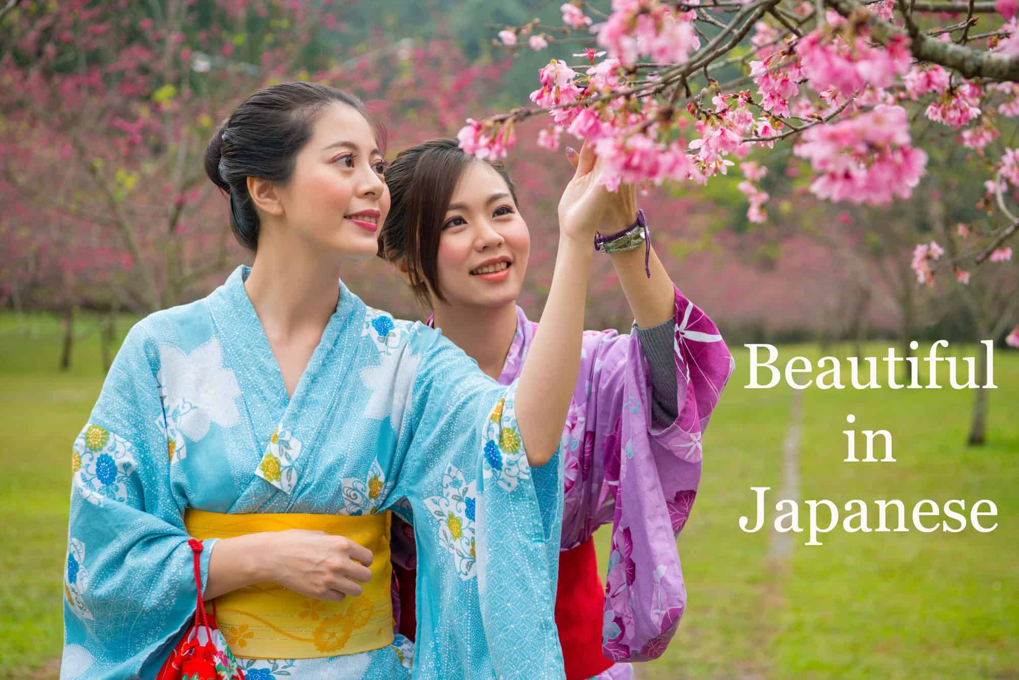 Two young Asian girls dressed in a Japanese kimono (one blue and the other purple) looking at a cherry blossom or plum tree branch with flowers..