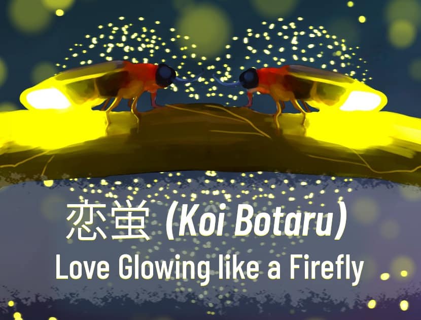 An illustration of two fireflies on a branch, face to face, with a lot of other fireflies in the background in the air in the shape of a heart. There is Japanese text in the middle with the English translation that says, "Koi Botaru - Love Growing Like a Firefly."
