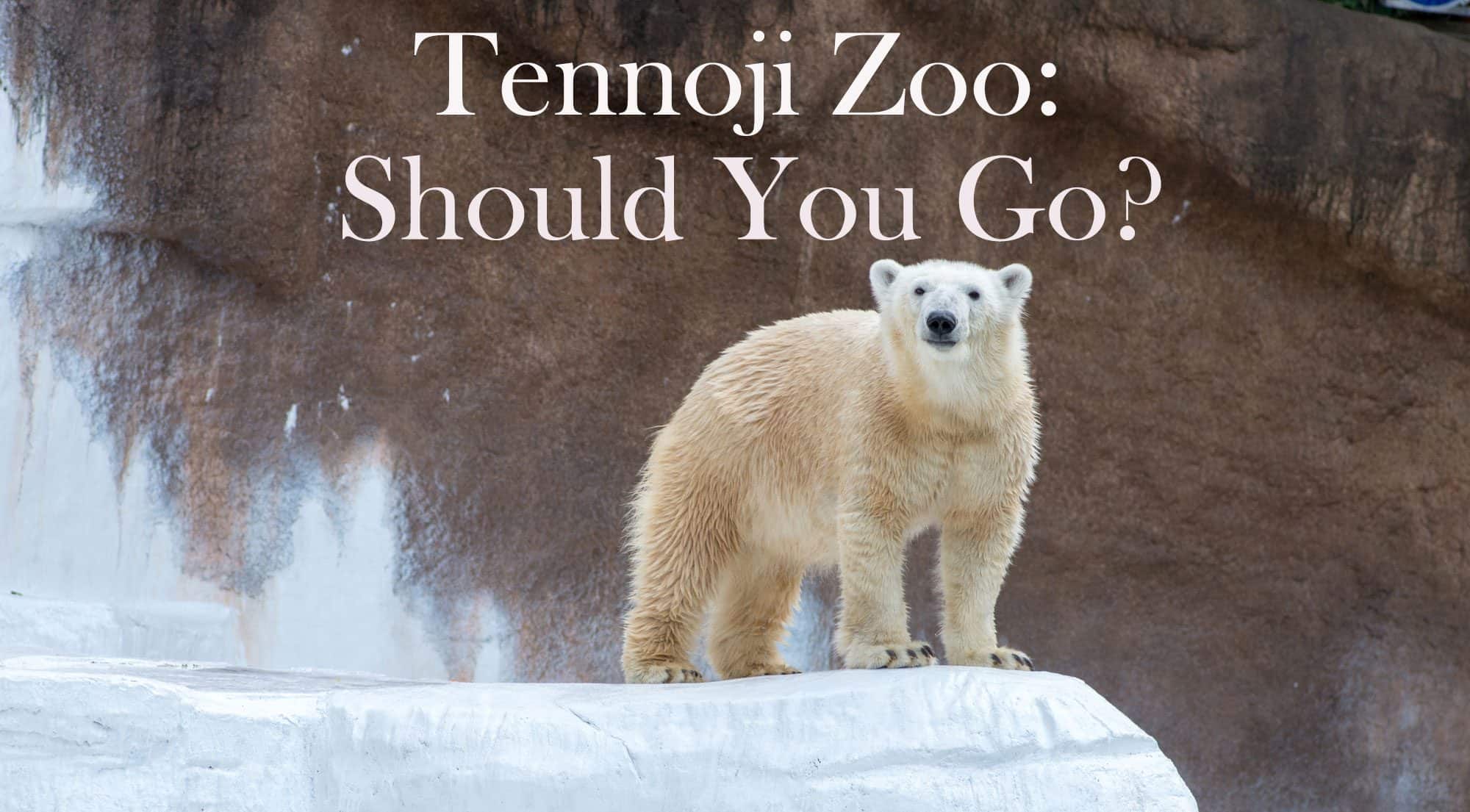 A Polar bear standing at the end of a ice cliff that is in the Tennoji Zoo in Osaka, Japan