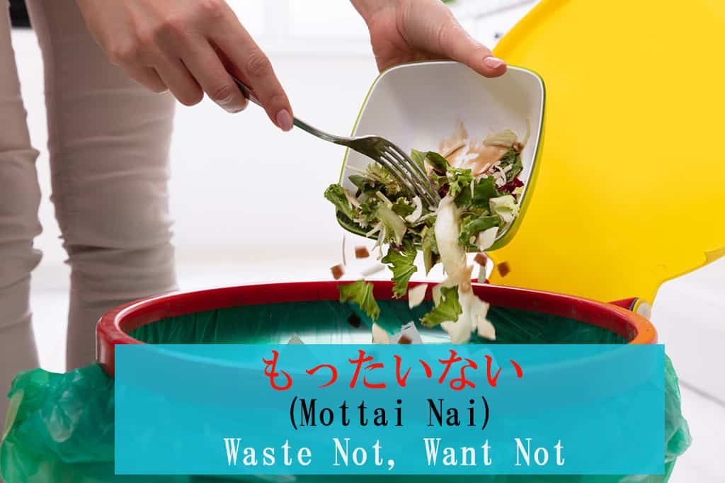 The hands of a woman throwing a remains of a salad from a white bowl into a red/green trash can. Japanese and English are displayed for the word "Mottai-nai - Wasteful" on the bottom of the image.