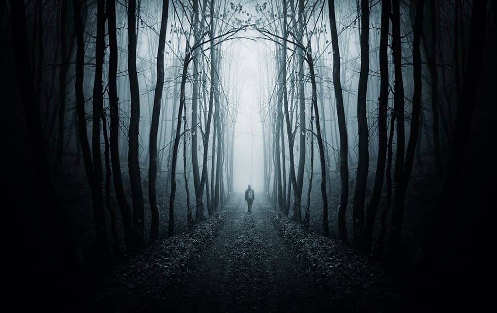 A man wearing a backpack walking down an eerie, dark tunnel of trees. Everything in the picture is black and white, which makes it feel creepy.