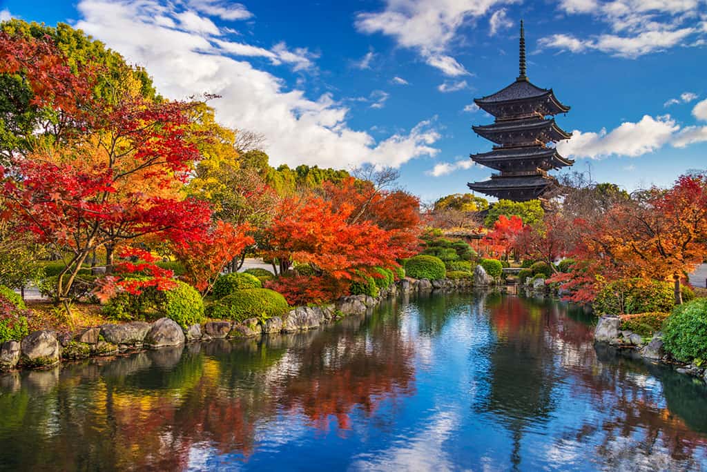 A Japanese monument in the background with the different colored fall leaves on trees all around.
