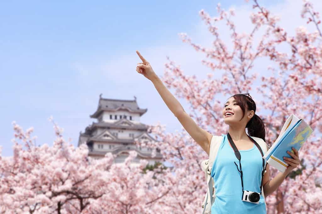 A young, Asian woman holding a map and pointing at something to the left off in the distance. Behind her are many blossoming cherry blossom cherries with pink flowers and a Japanese castle.