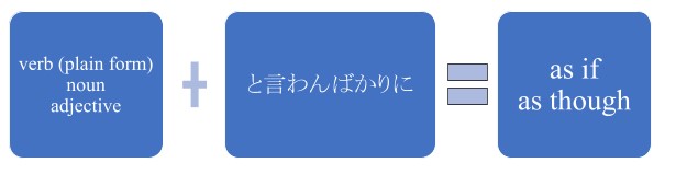 A formula in blue blocks that says, "verb (plain form) noun adjective+ と言わんばかりに= as if, as though."