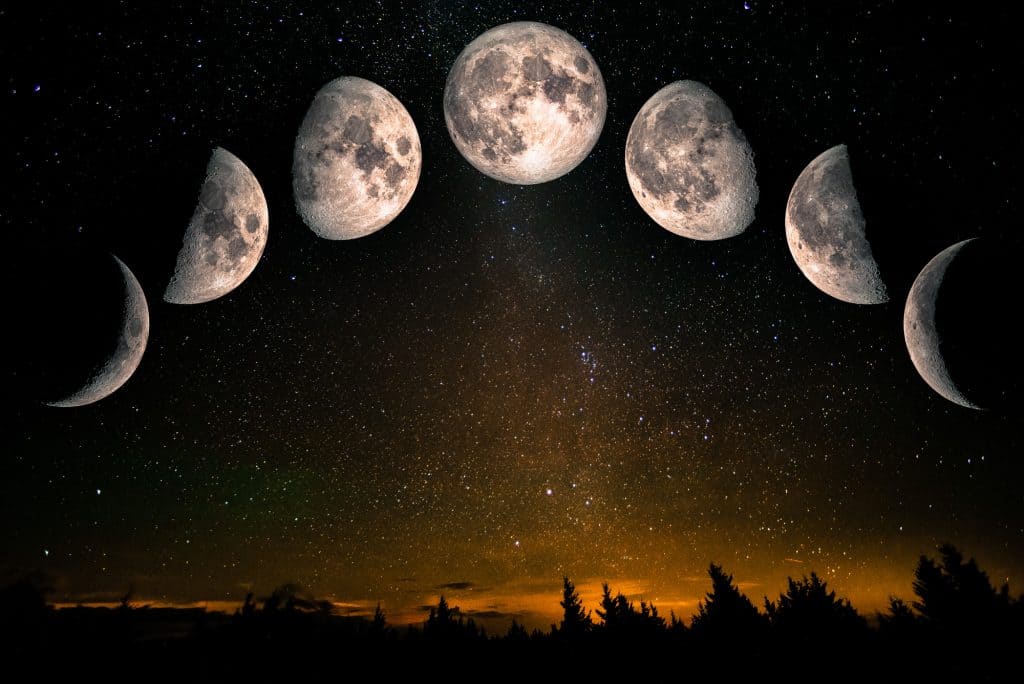 An image of the moon in the night sky, with all of its different phases (crescent, half, full). There are many stars in the sky, and a silhouette of trees below.