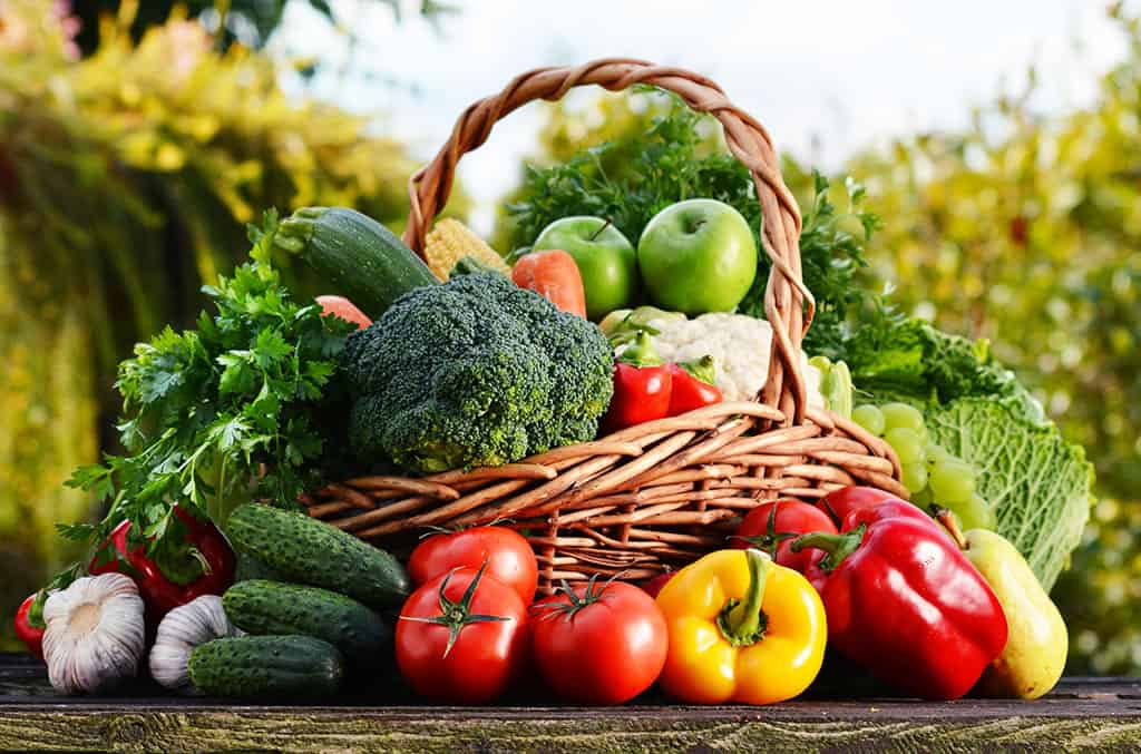 A wicker basket is seen on top of a wooden table and is filled with various fruits and vegetables like broccoli, red and yellow bell peppers, corn, garlic, apples, a carrot and more. Some of these vegetables are on the table surrounding the basket.